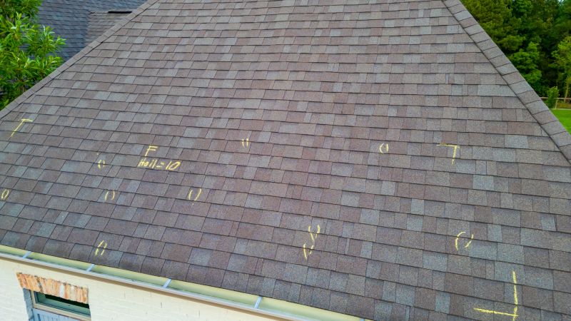 Asphalt Roof Inspection in Denver County, CO