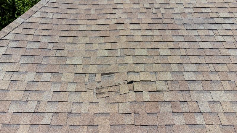 Asphalt Roof Inspection in Lafayette, CO