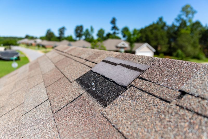 Asphalt Roof Leak Repair in Allenspark, CO