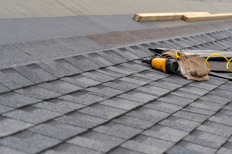 Asphalt Roof Repair in Black Hawk, CO