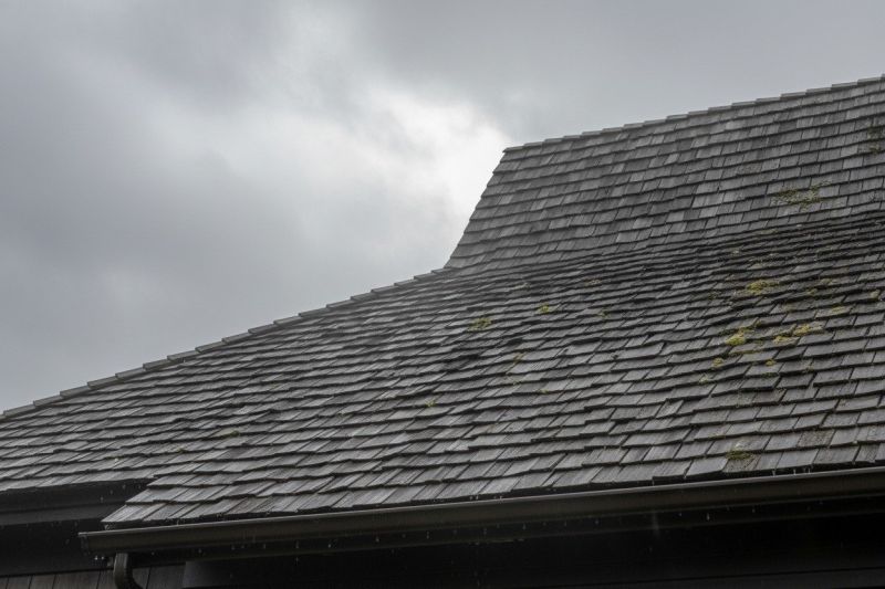 Cedar Shingles Replacement in Lafayette, CO