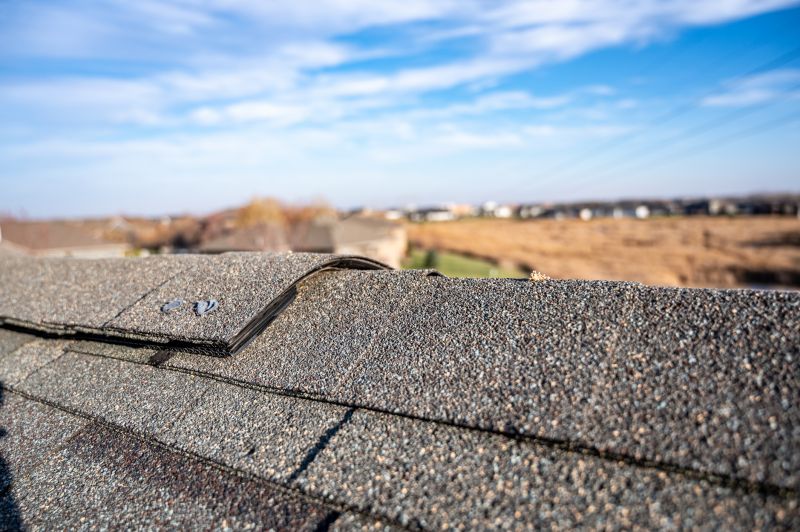 Damaged Roof Repair in Clear Creek County, CO