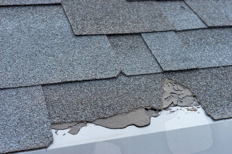 Damaged Roof Repair in Clear Creek County, CO