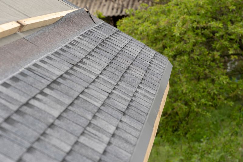 Damaged Roof Repair in Fort Lupton, CO