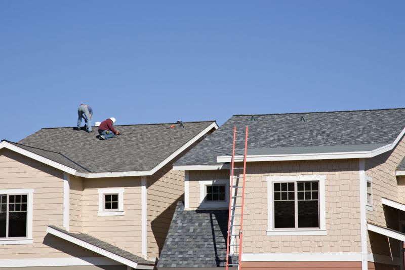 Damaged Roof Repair in Wheat Ridge, CO