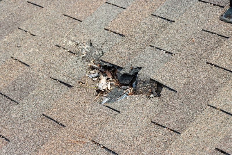 Damaged Roof Replacement in Allenspark, CO