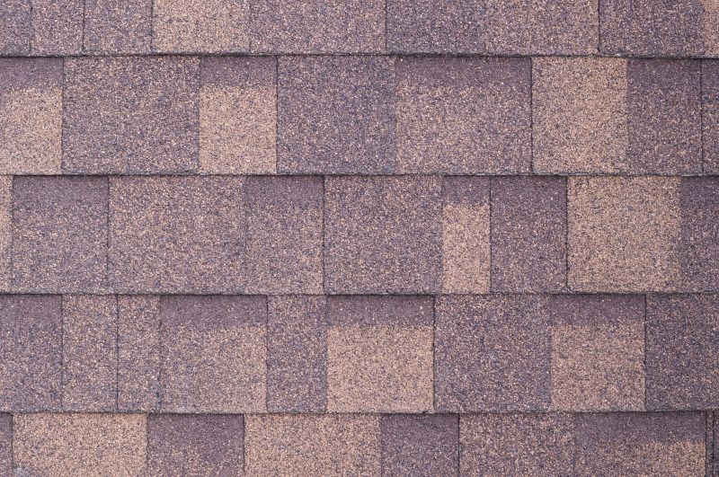 Fiberglass Shingles Repair in Boulder, CO