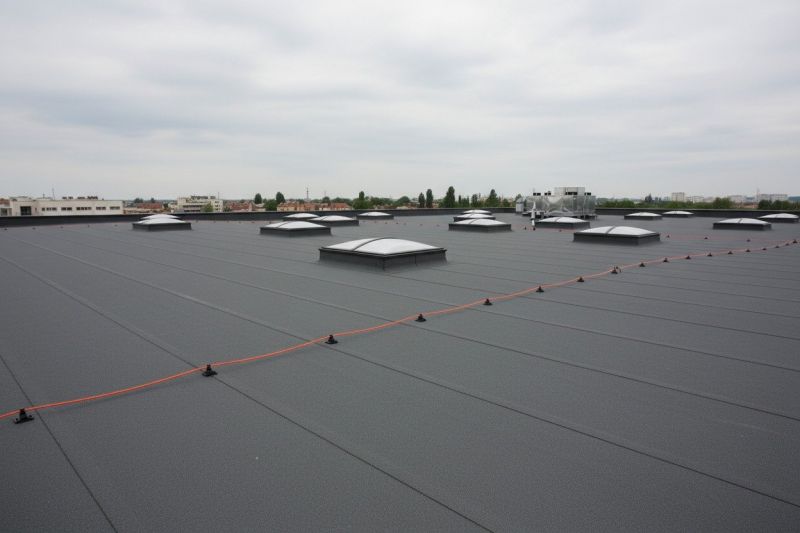 Flat Roof Replacement in Black Hawk, CO