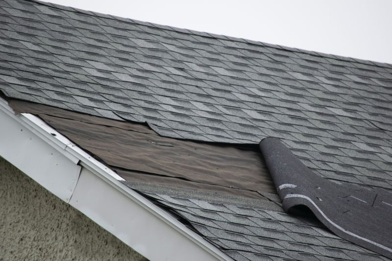 House Roof Repair in Black Hawk, CO