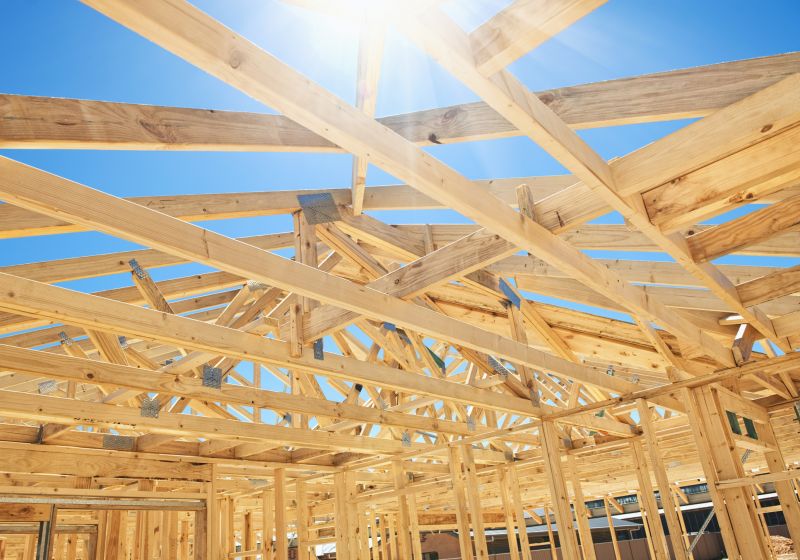 Roof Construction in Nederland, CO