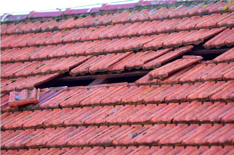 Roof Damage Inspection in Indian Hills, CO