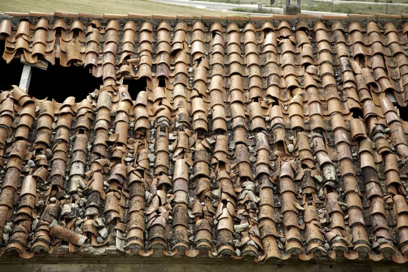 Roofing Evaluation in Black Hawk, CO