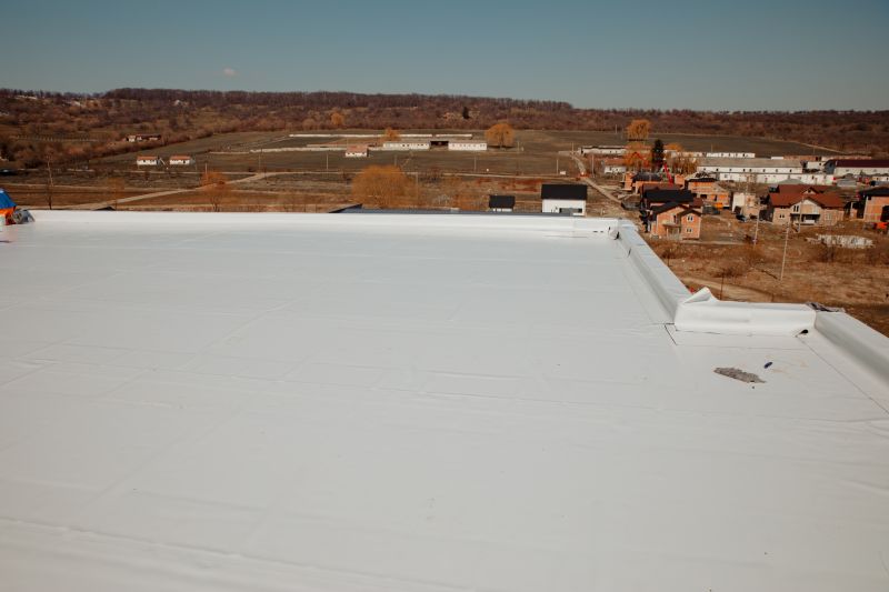 Rubber Roof Repair in Denver, CO