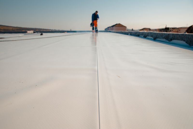 Rubber Roof Repair in Jamestown, CO