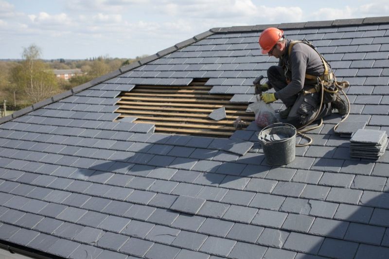 Slate Roof Repair in Allenspark, CO
