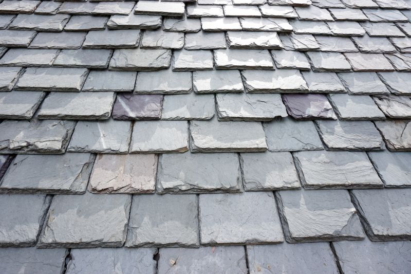 Slate Roof Repair in Nederland, CO