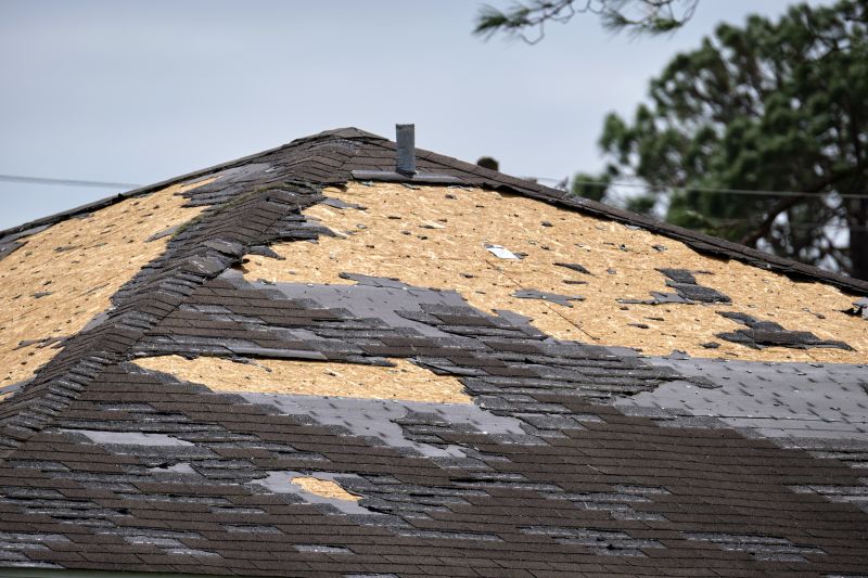 Storm Damage Roof Repair in Nederland, CO