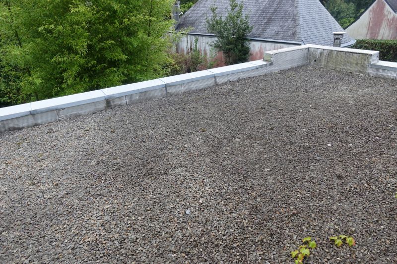Tar And Gravel Roof Repair in Gilpin County, CO